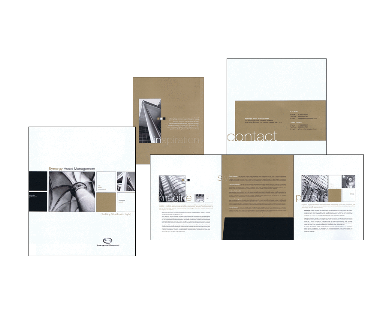 Synergy Asset Management