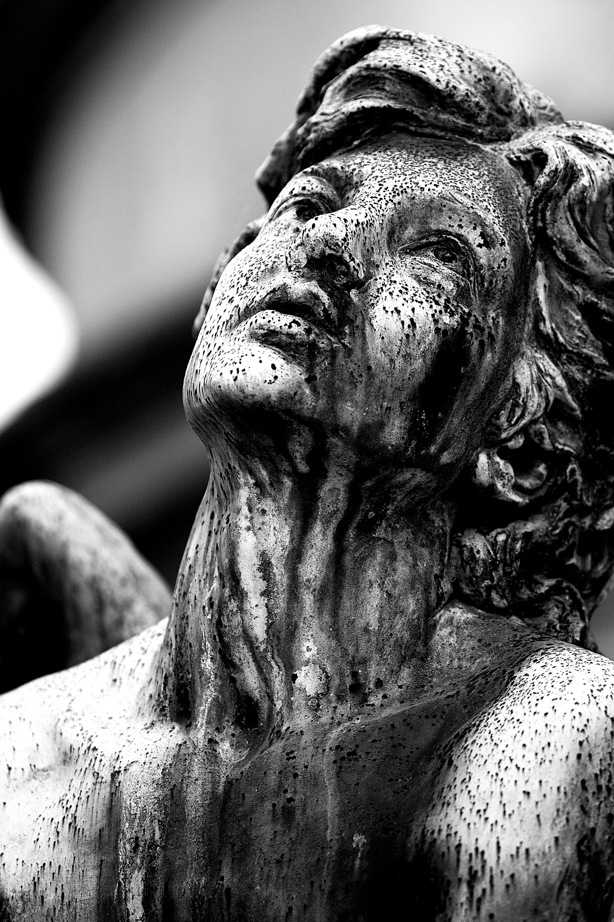 Angel Praying