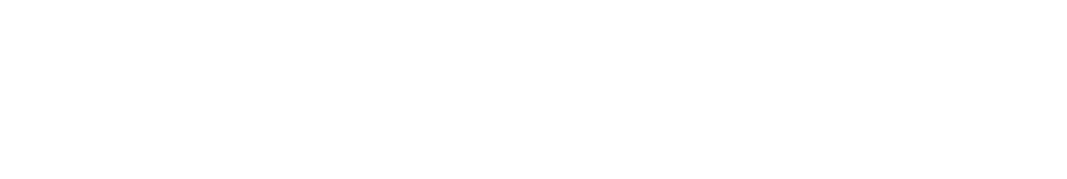 Burnt Orange logo white