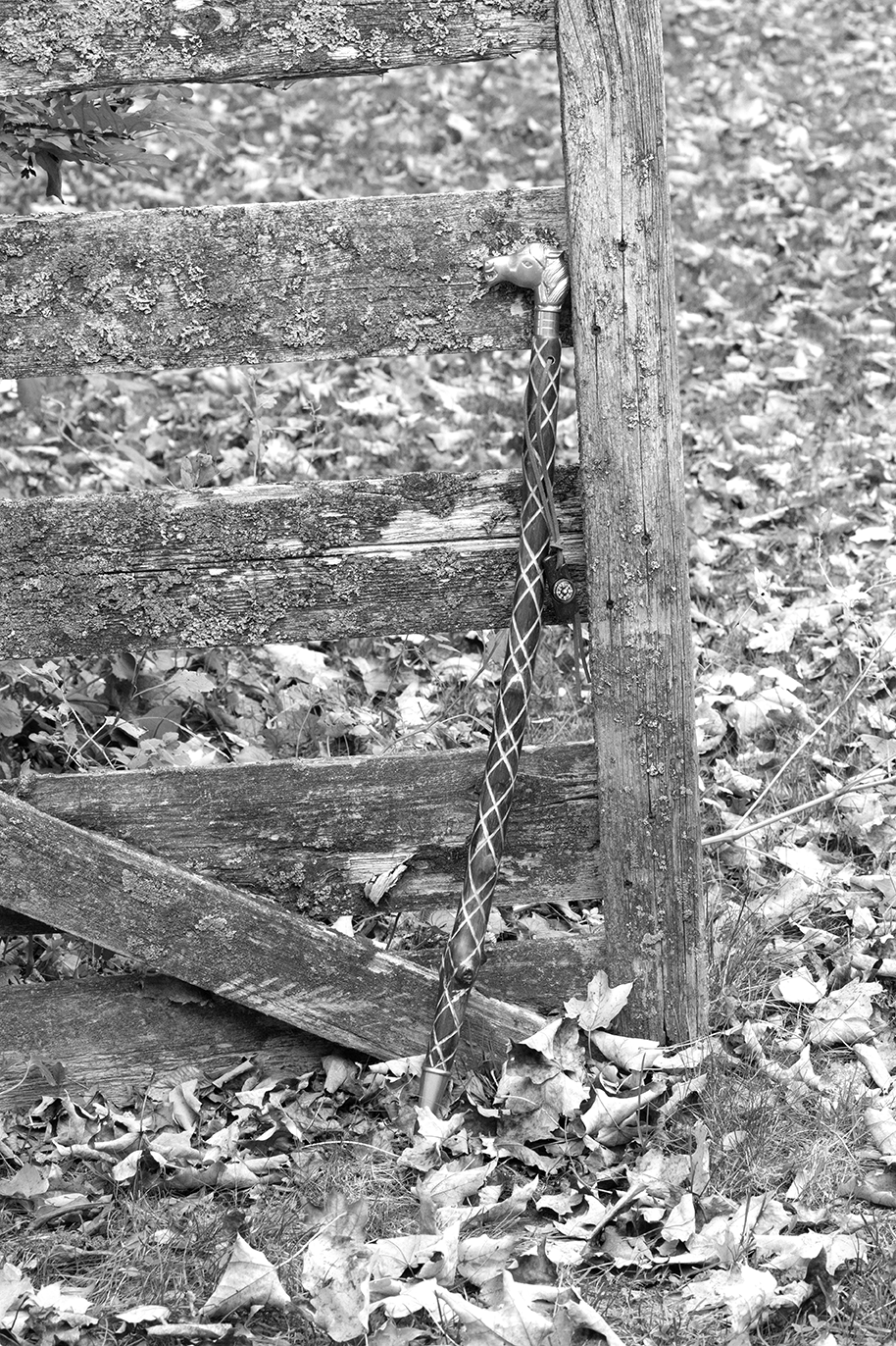 Distressed Harlequin Walking Stick