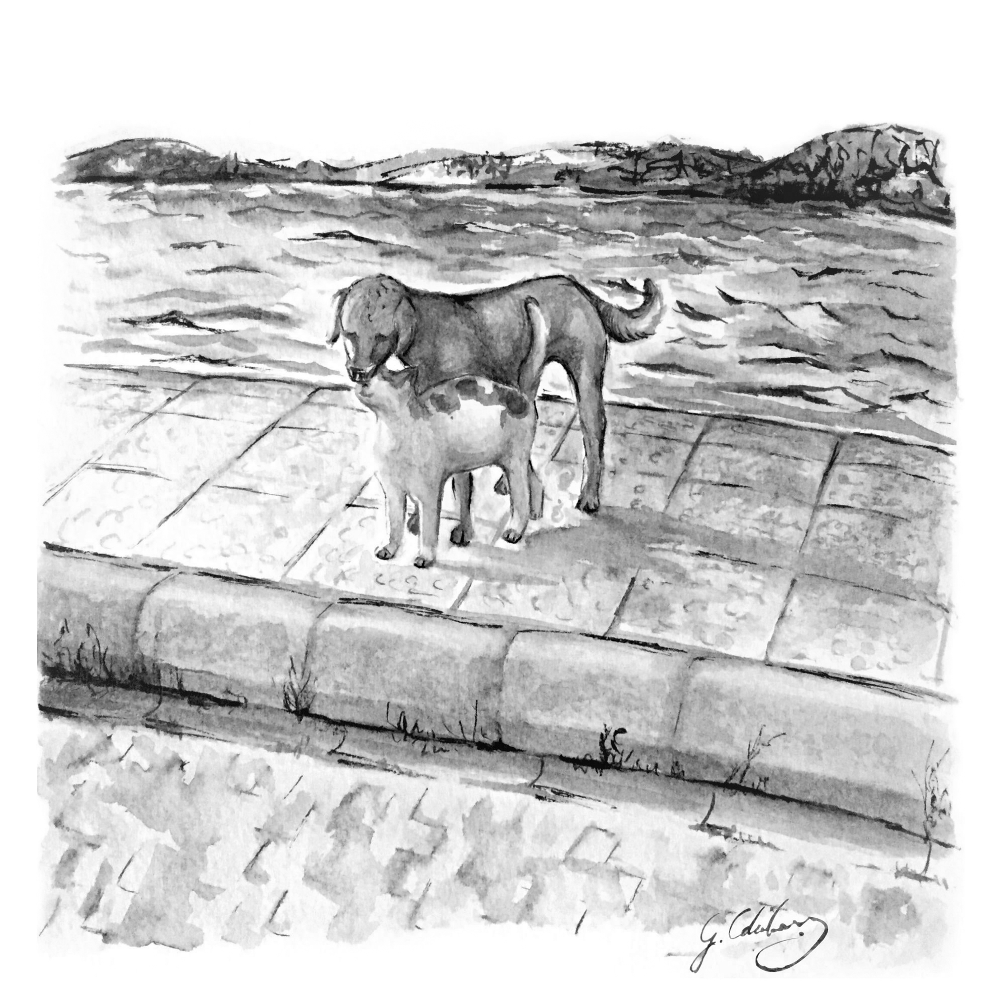 Art Print | Thief Dog & The Cat