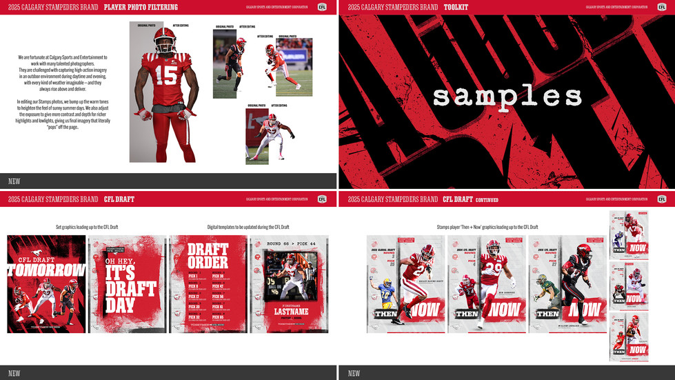 2025 Calgary Stampeders Brand Toolkit