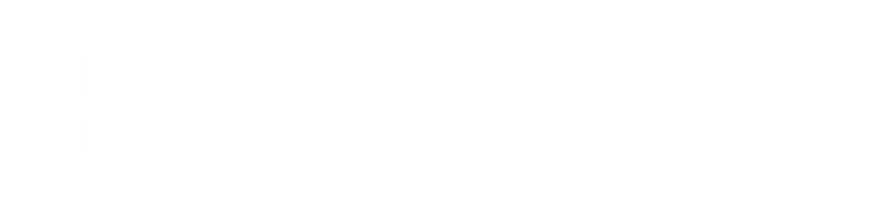 paidai_logo (1).png