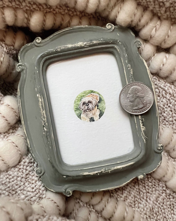 Shih Tzu Pet Portrait