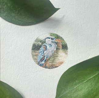 Miniature Watercolor Painting: Blue Heron