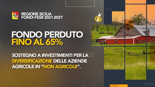 Sicilia. Sostegno a investimenti per la diversificazione delle aziende agricole in non agricole.