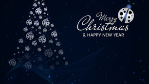 🎄Buon Natale e Felice 2025! 🍾