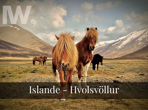Voyage equestre en Island à l'hôtel Skalakot