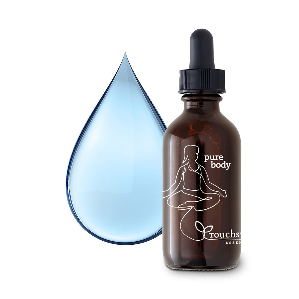 Pure Body Liquid Zeolites.jpg