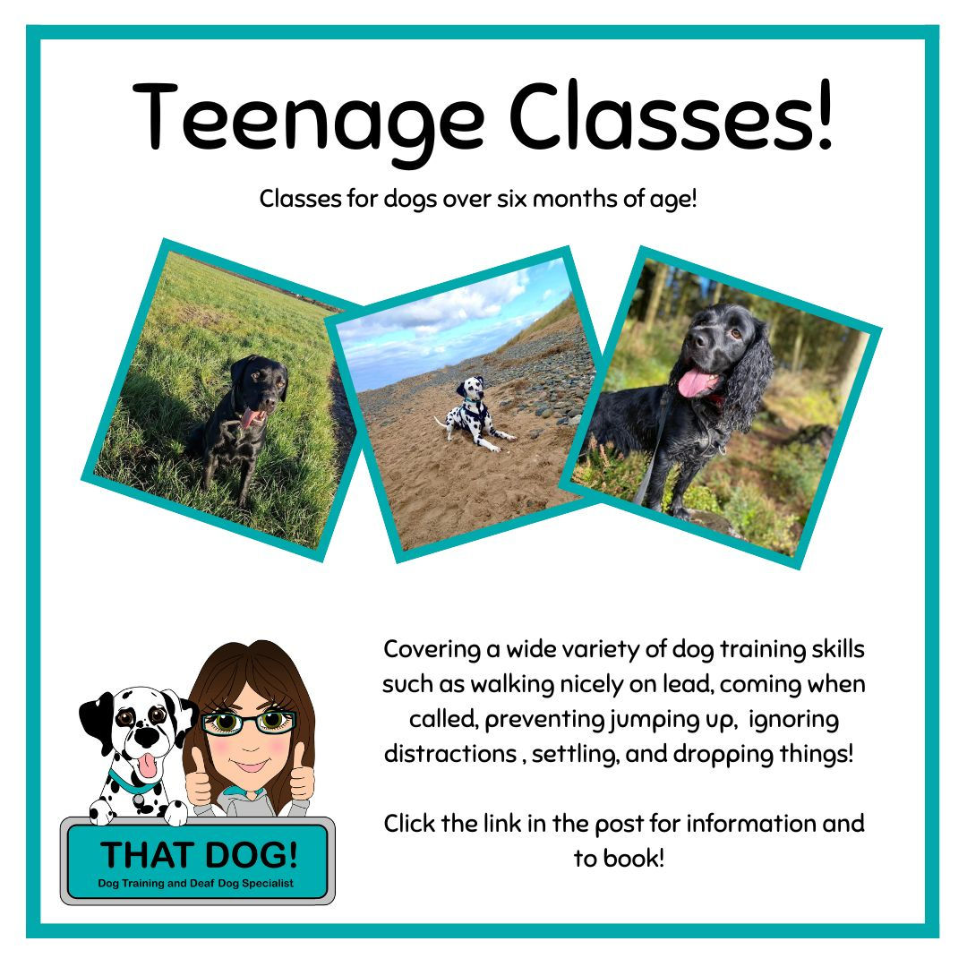 Teenage Tearaway Course!