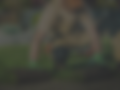 Landscaping.png