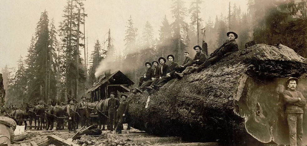 Lewis-County-logging-loggers-next-to-a-large-tree.jpg