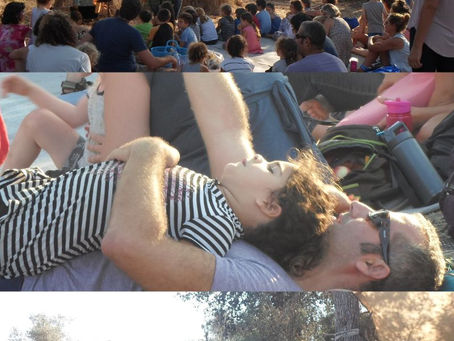 המסע אל לב היער: חוויה תרבותית שמשנה את כללי המשחק