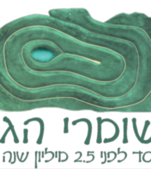 לוגו חדש רקע שקוף.png