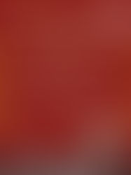 2025.12.6　　　　　　　　　　　　　　　　　　　　　　　　　　【富士見町教会　アドベント　ハンドベルコンサート】