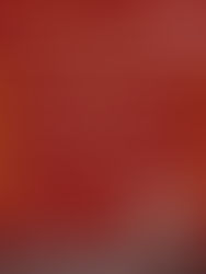 2025.12.6　　　　　　　　　　　　　　　　　　　　　　　　　　【富士見町教会　アドベント　ハンドベルコンサート】