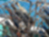 S__5750792.jpg
