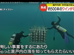 KTS鹿児島テレビ放送 「KTSライブニュース」にて、tlass SEA CELLAR潜水作業の様子が放映されました。