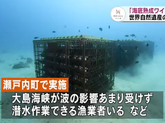 NHK鹿児島放送 「情報ＷＡＶＥかごしま」にて、tlass SEA CELLAR潜水作業の様子が放映されました。