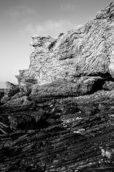 Crystal Cove-1-147.jpg