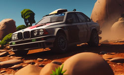 Alpina rally (2)