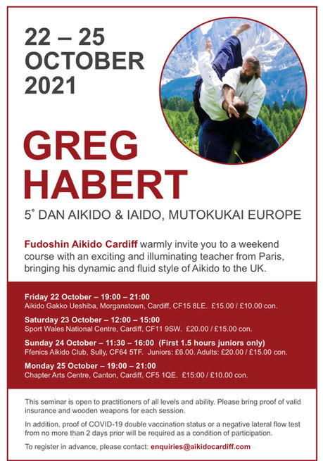 Return of Greg Habert: 4-Day Fudoshin Aikido Event!