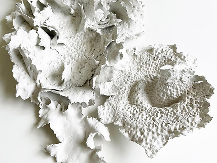andrea macruz _ m.il_ sculpture _ esculturas _ parametric _ nature _ 5.jpg