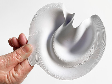 andrea macruz _ m.il_ sculpture _ esculturas _ parametric _ nature _ 0.jpg