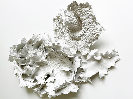 andrea macruz _ m.il_ sculpture _ esculturas _ parametric _ nature _ 7.jpg