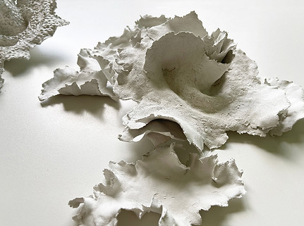 andrea macruz _ m.il_ sculpture _ esculturas _ parametric _ nature _ 4.jpg