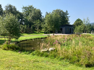 Cabin location on the croft.