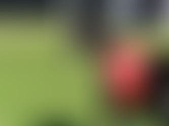 NZ Animal rights organisation spreading misinformation - Again