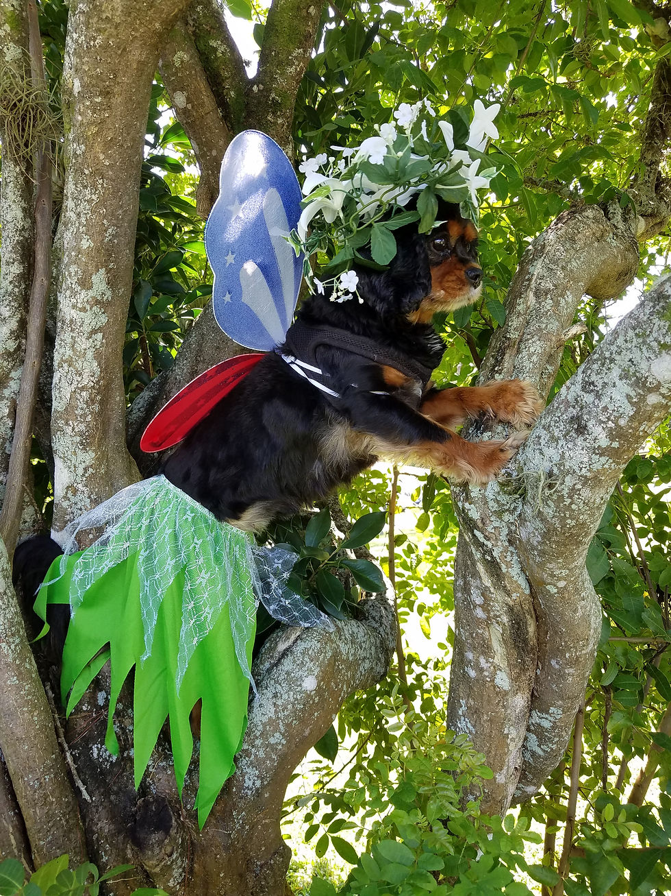 maybe if i get a little higher