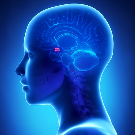 Sheehan's Syndrome