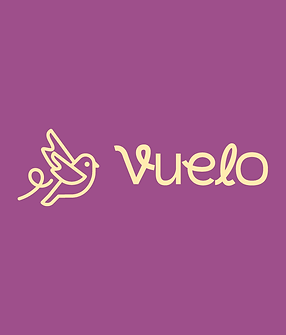 vuelo-fondo.png