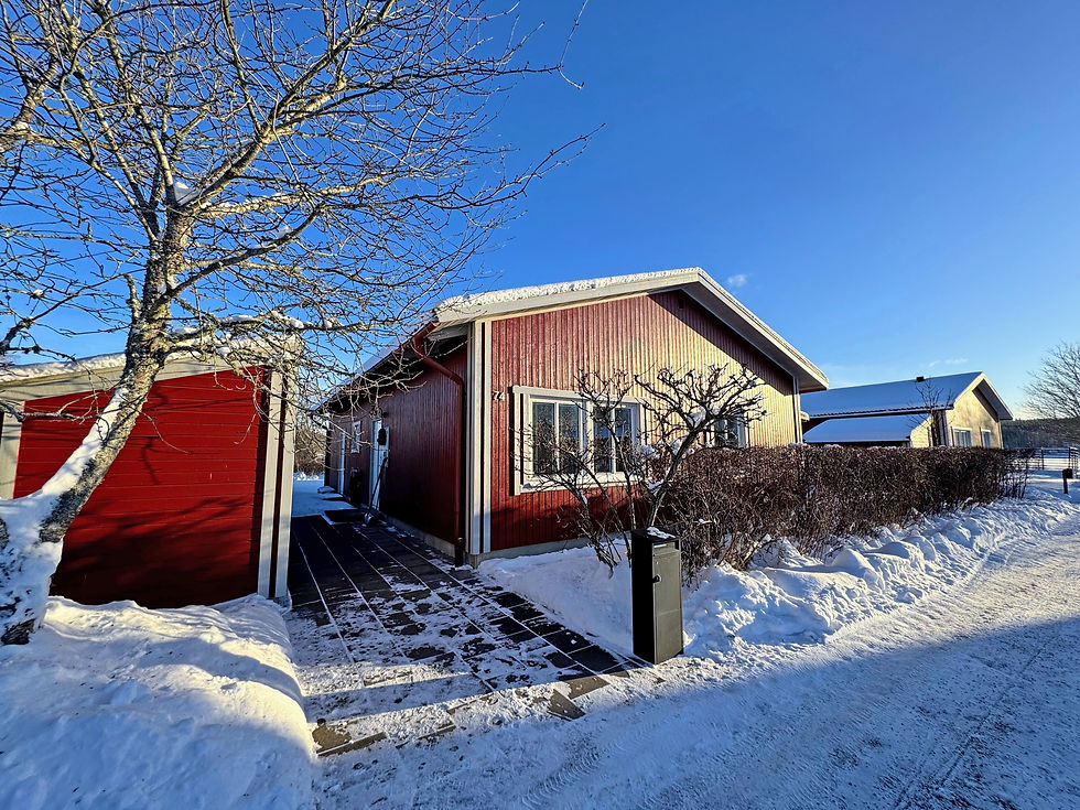 Enplanshus utan carport.jpg