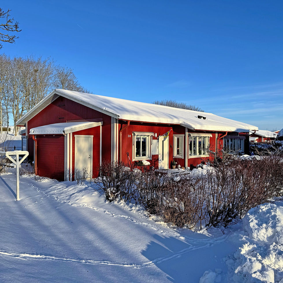 Treor utan carport.jpg