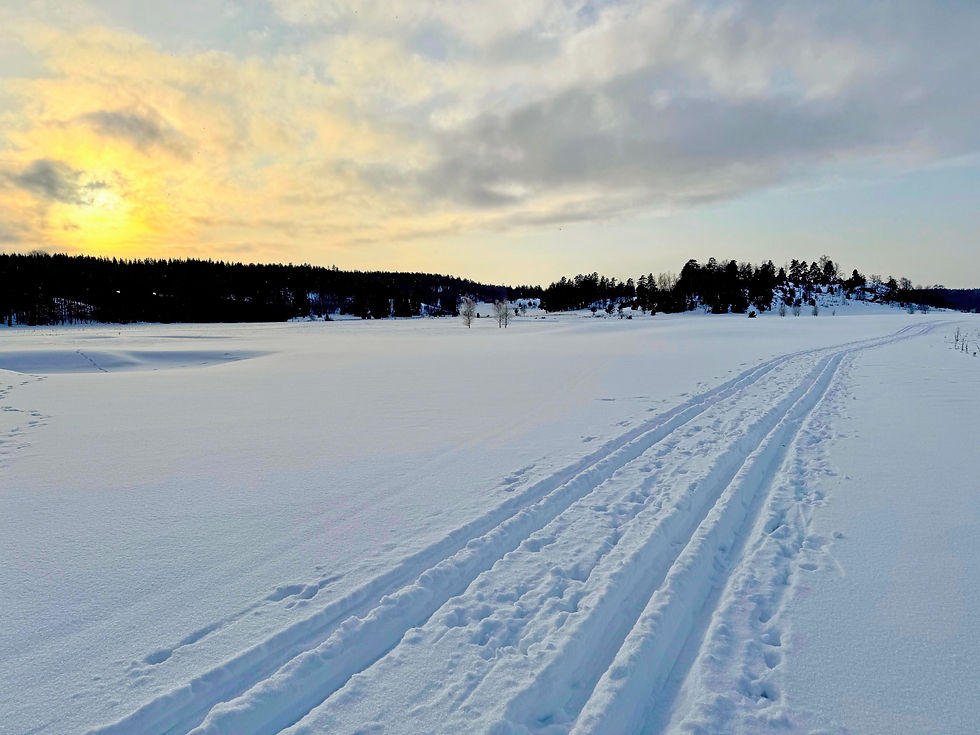 Skidspår.jpg