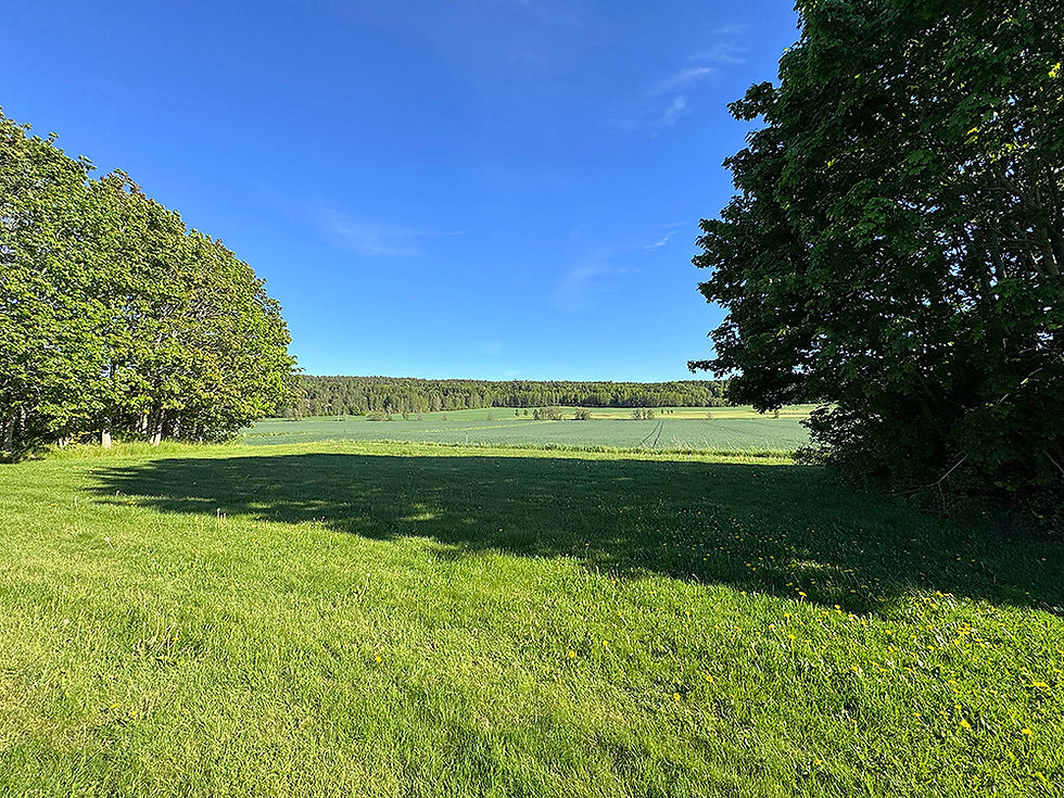 Grönområde mot Kiladalen_edited.jpg
