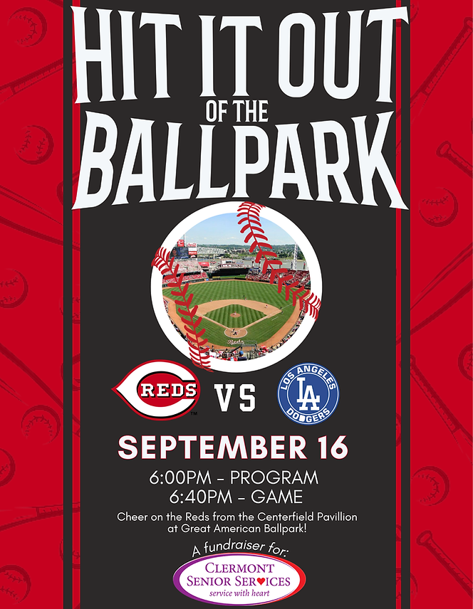 A Night at the Ballpark Fundraiser Flyer (2).png