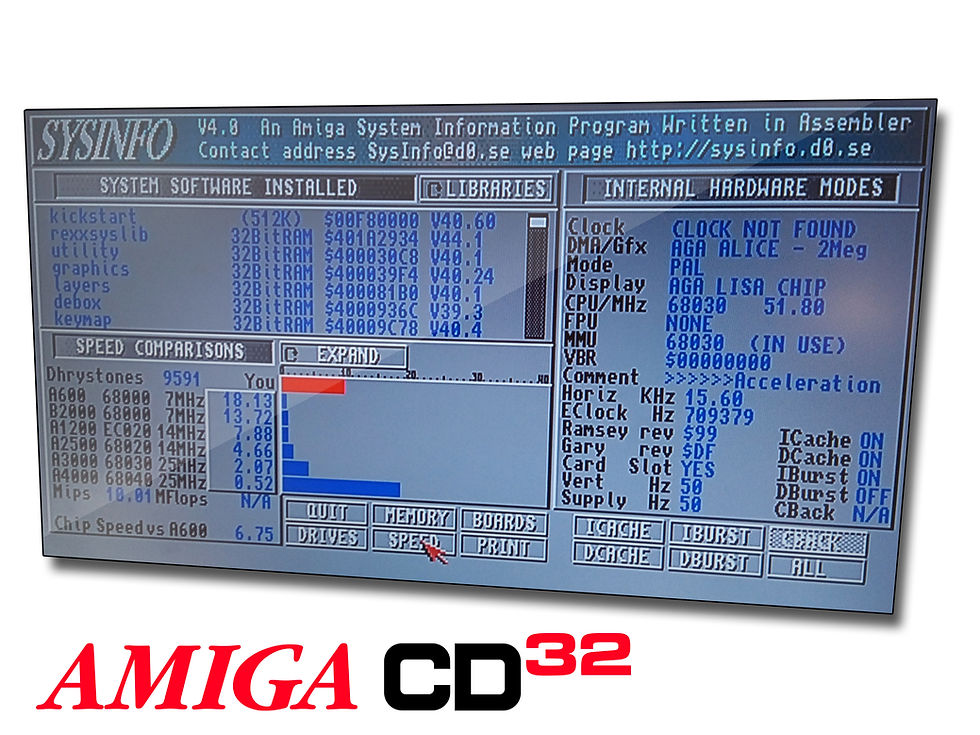 Thumbnail: Amiga CD32 TF330 sysinfo screenshot