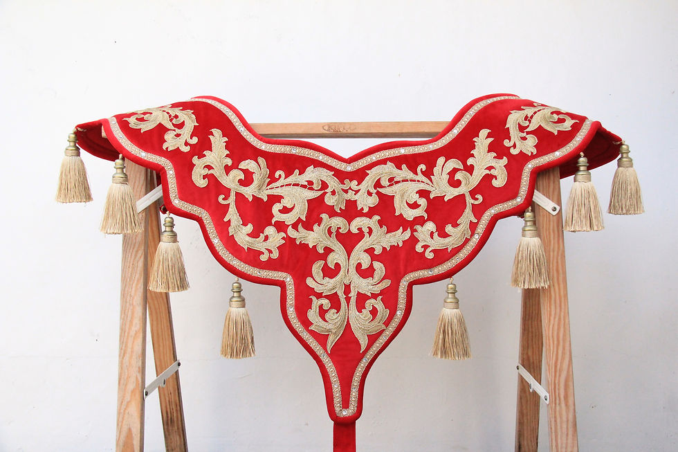 Miniatura: Ensemble - Haute école Deluxe - Velours Rouge broderies or
