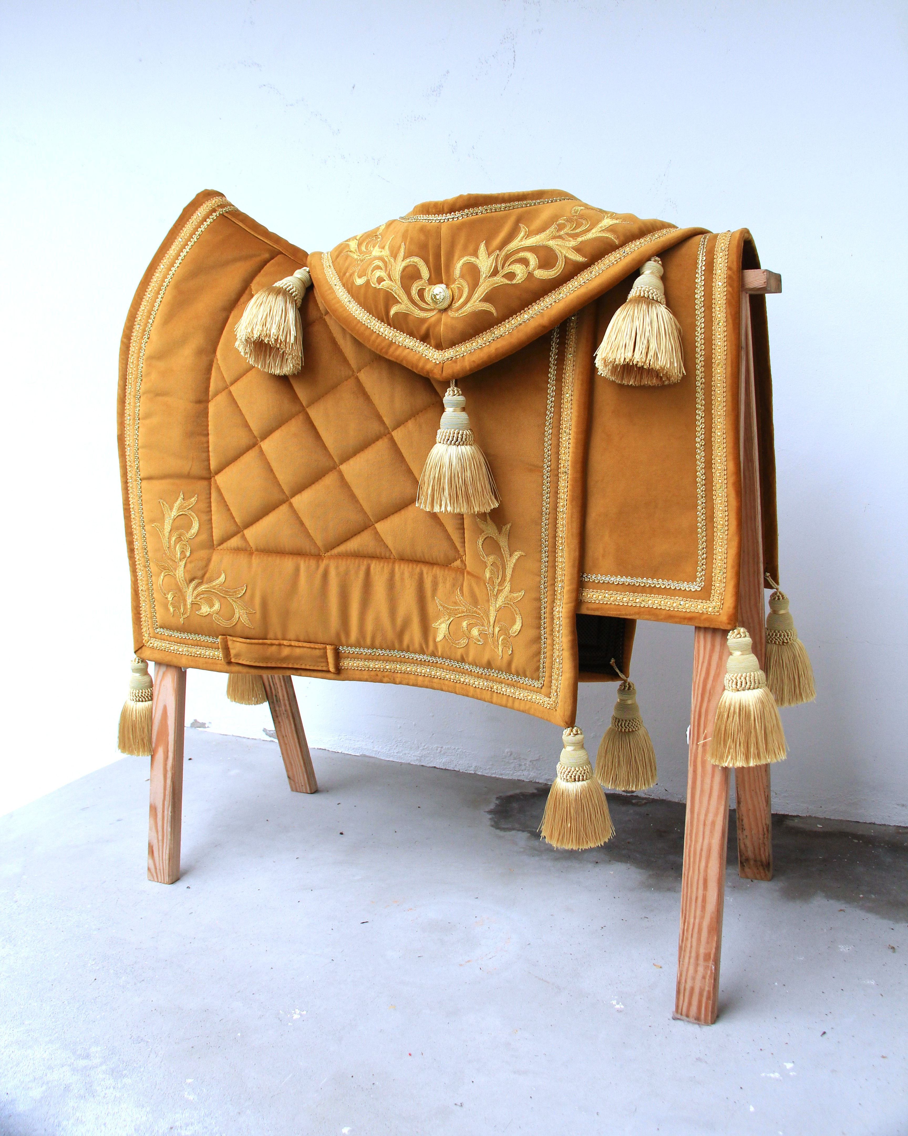 Ensemble - Haute école Deluxe - Moutarde et Or