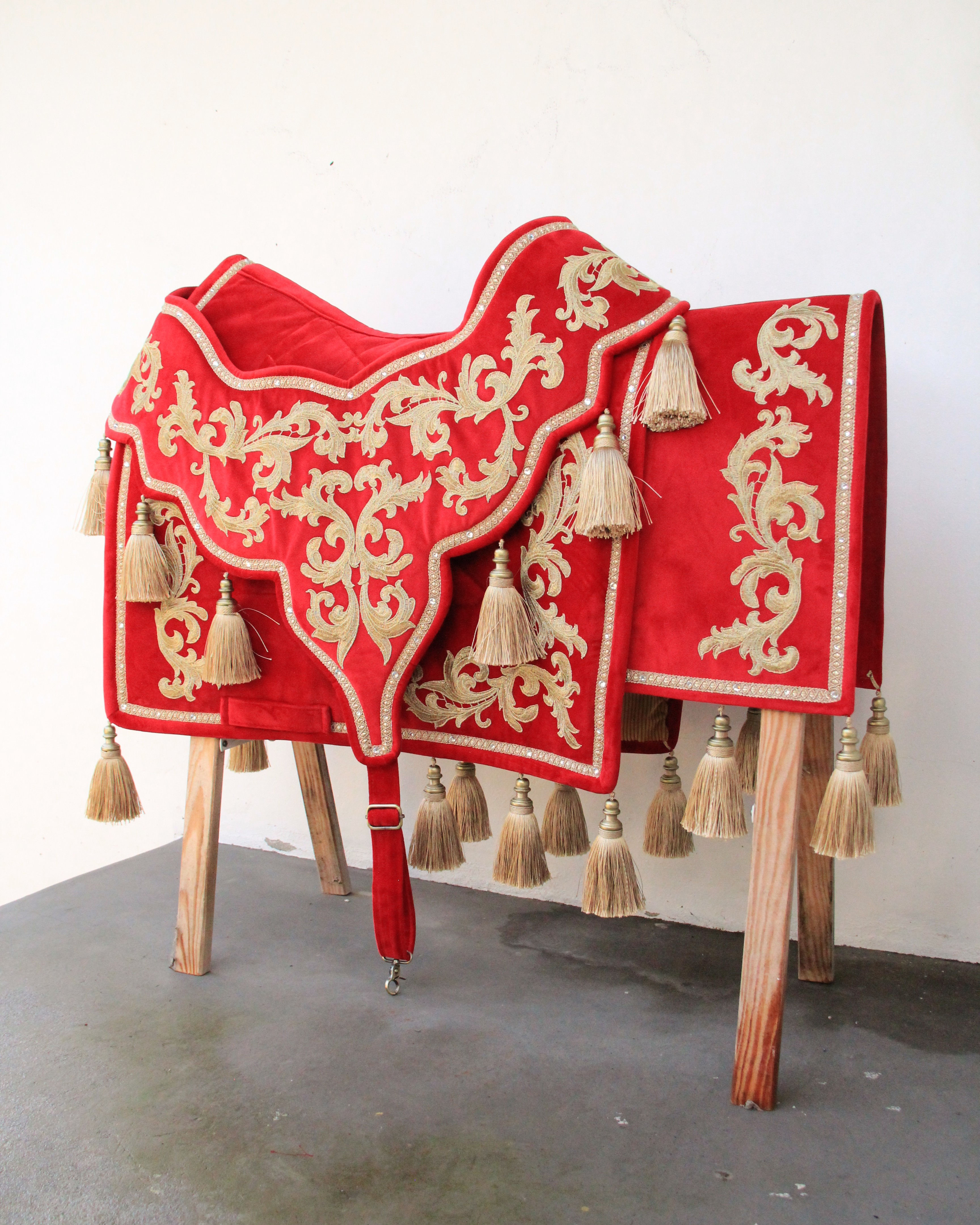 Ensemble - Haute école Deluxe - Velours Rouge broderies or