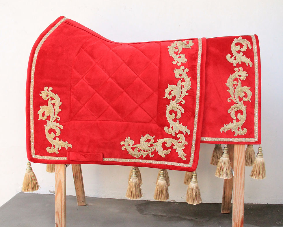Miniatura: Ensemble - Haute école Deluxe - Velours Rouge broderies or