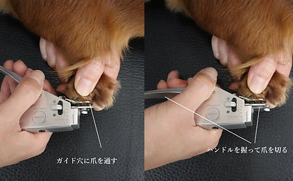 爪を通す切る.jpg