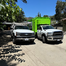 Alex Tree Service Team