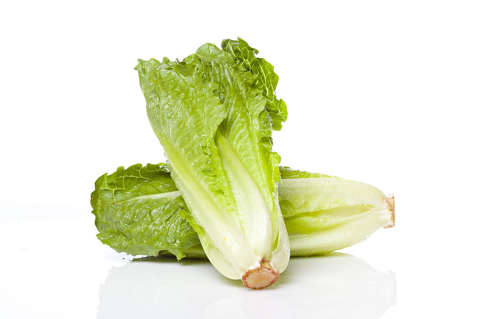 Lettuce Romain/pc