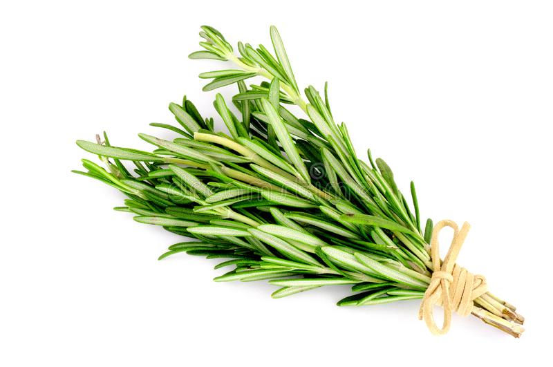 Rosemary pp - 50g