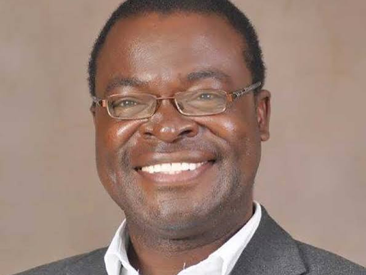 Foreign Affairs Minister Amon Murwira during a Government event